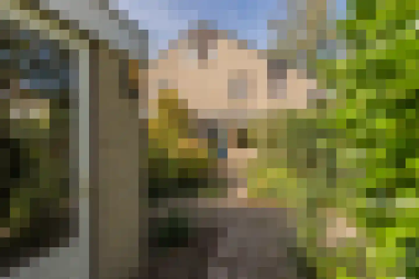 Waluwestraat 30 Zaltbommel thumbnail 40