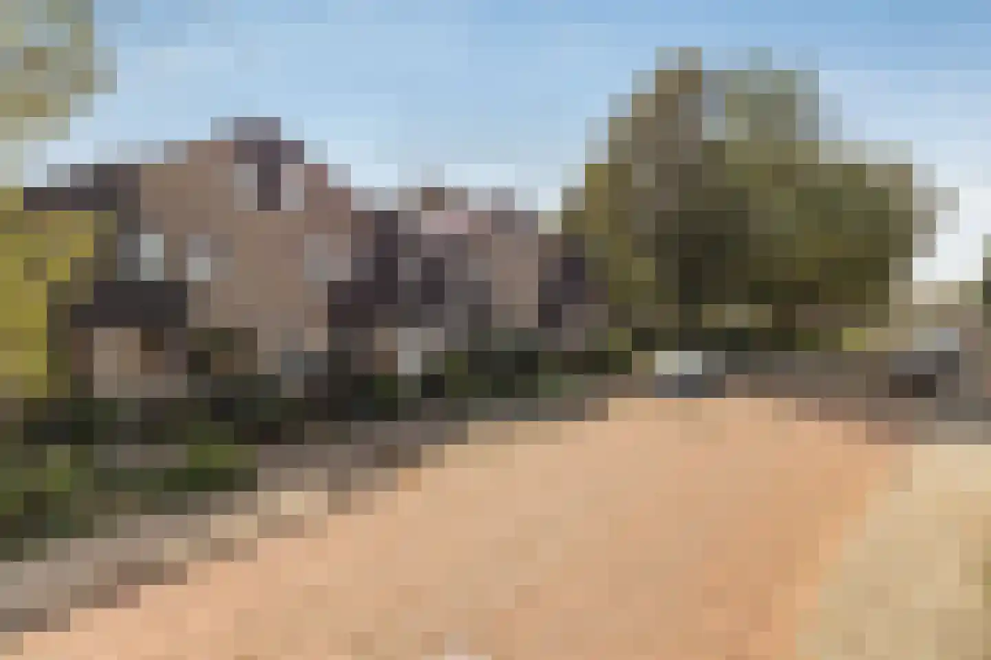 Waluwestraat 30 Zaltbommel thumbnail 49