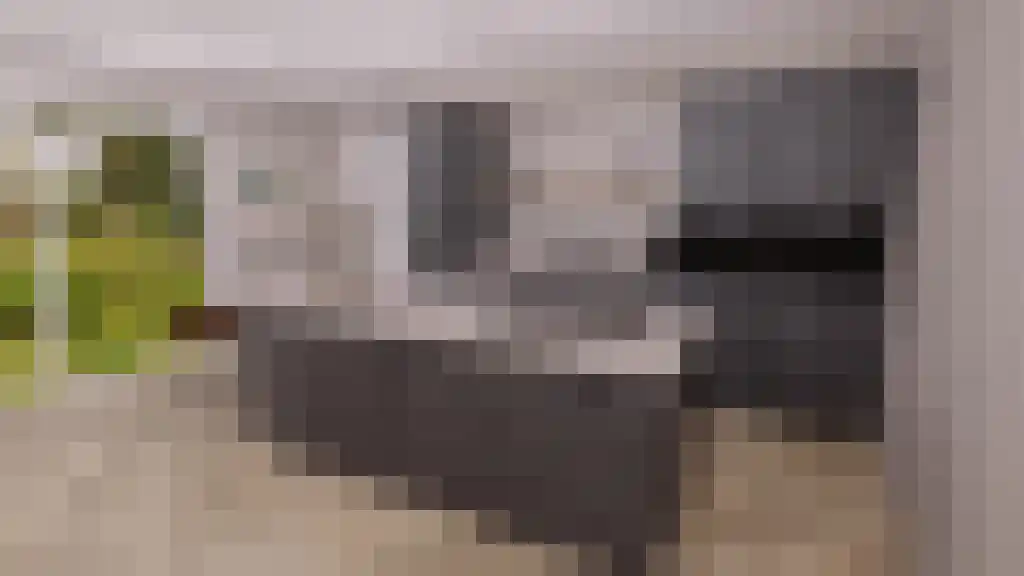Walvaartkamp 22 Winterswijk Meddo thumbnail 8