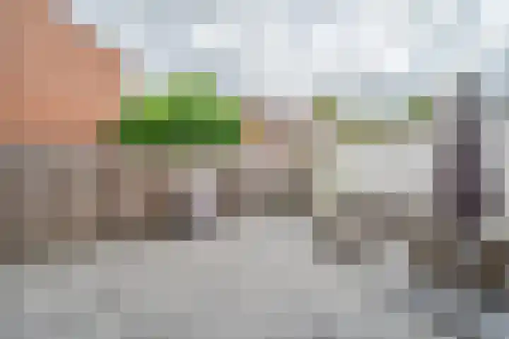 Walvisbaai 11 Capelle aan den IJssel thumbnail 10