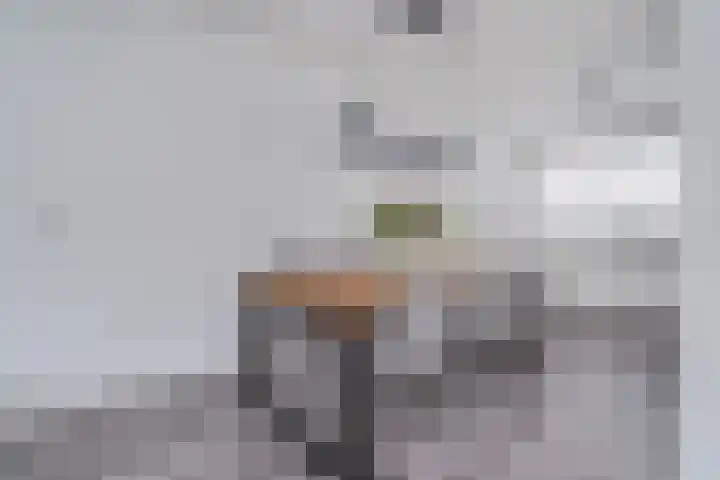 Walvisbaai 11 Capelle aan den IJssel thumbnail 14