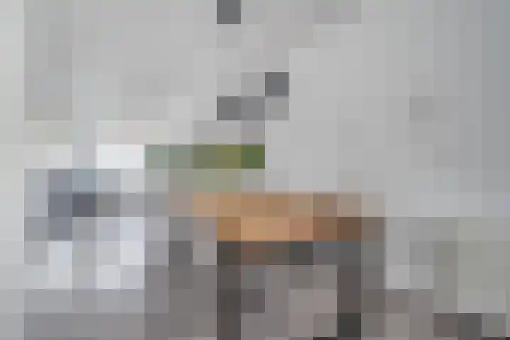 Walvisbaai 11 Capelle aan den IJssel thumbnail 15