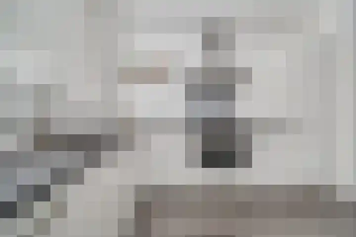 Walvisbaai 11 Capelle aan den IJssel thumbnail 17