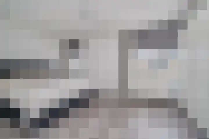 Walvisbaai 11 Capelle aan den IJssel thumbnail 20