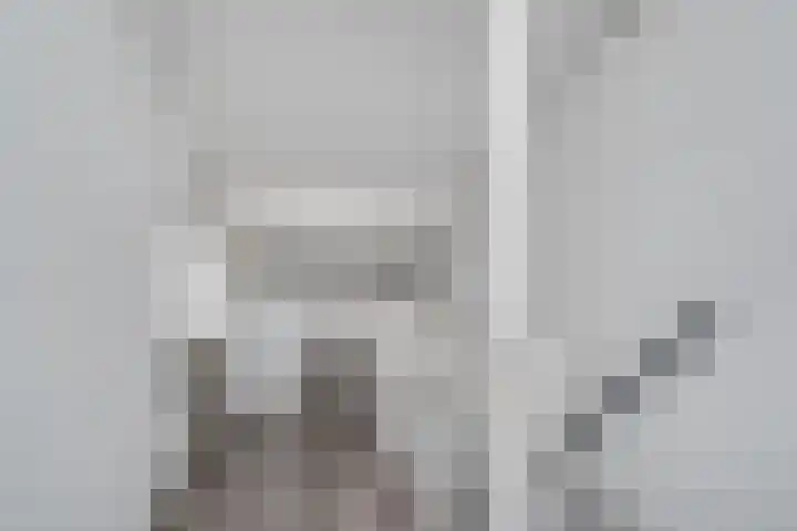 Walvisbaai 11 Capelle aan den IJssel thumbnail 25
