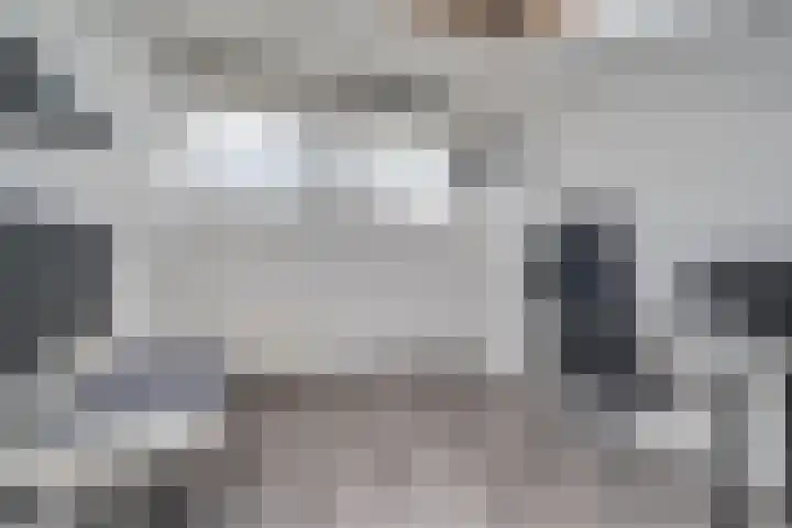Walvisbaai 11 Capelle aan den IJssel thumbnail 26