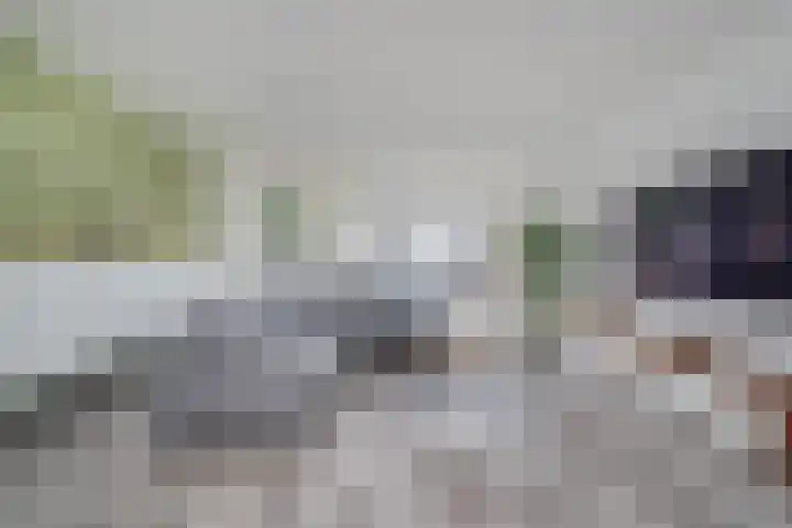Walvisbaai 11 Capelle aan den IJssel thumbnail 5