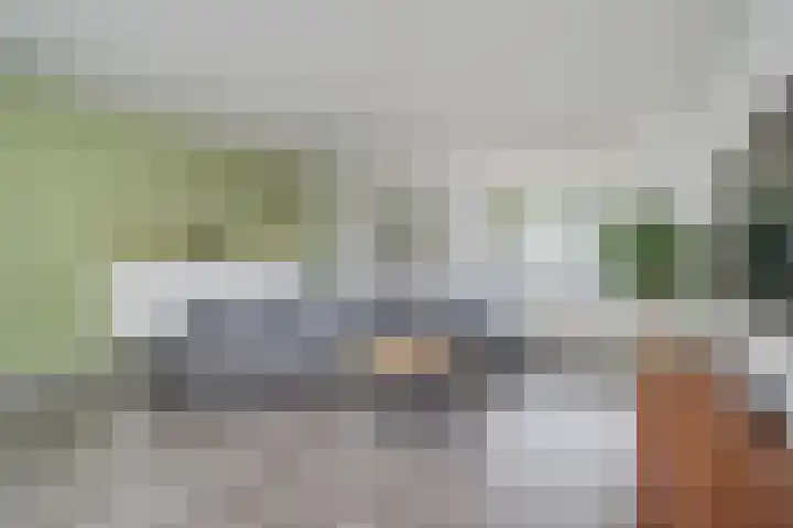 Walvisbaai 11 Capelle aan den IJssel thumbnail 6