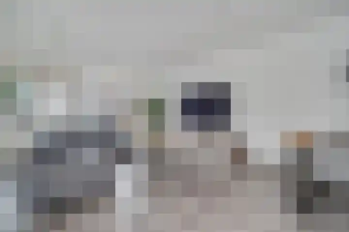 Walvisbaai 11 Capelle aan den IJssel thumbnail 7