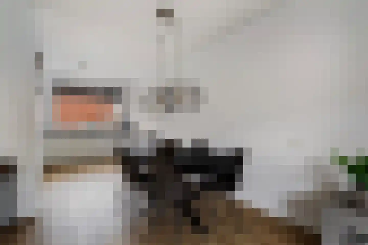 Walvisbaai 26 Capelle aan den IJssel thumbnail 13