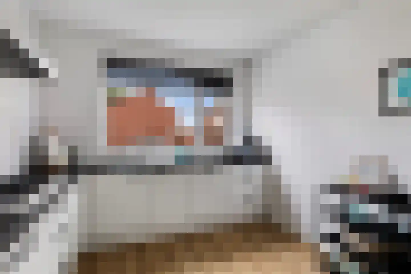 Walvisbaai 26 Capelle aan den IJssel thumbnail 14