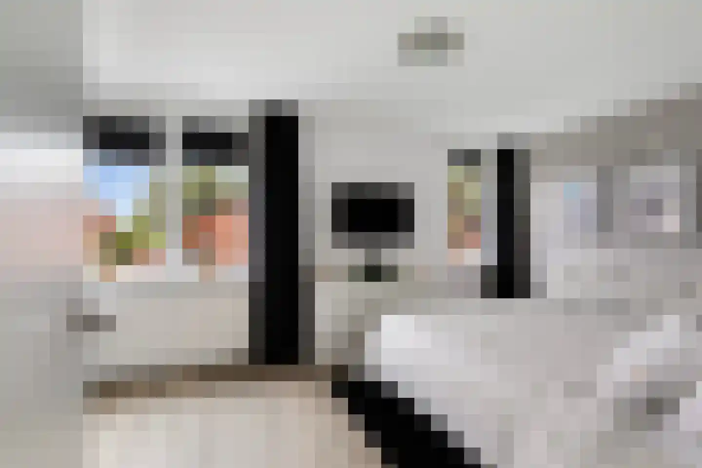 Walvisbaai 26 Capelle aan den IJssel thumbnail 25