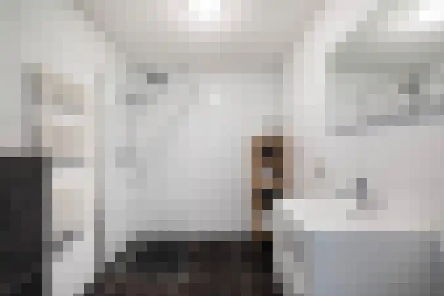 Walvisbaai 26 Capelle aan den IJssel thumbnail 32