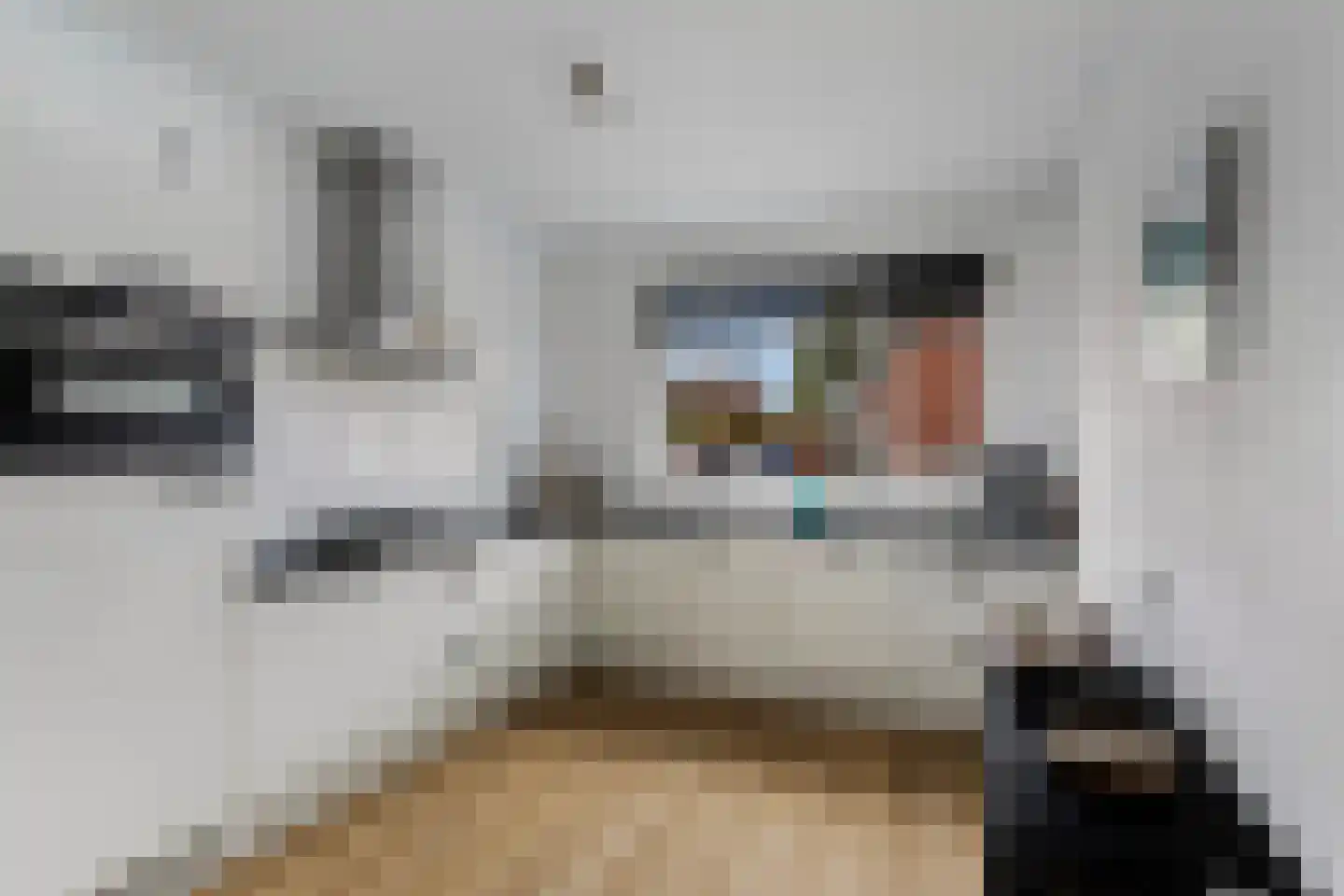 Walvisbaai 26 Capelle aan den IJssel thumbnail 4