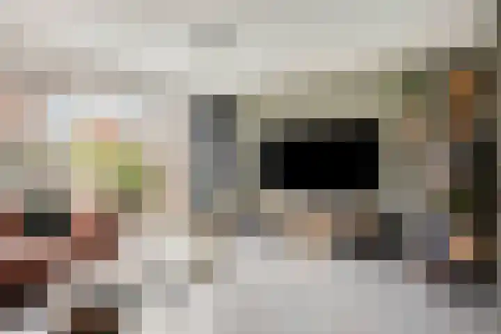 Walvisbaai 5 Capelle aan den IJssel thumbnail 11