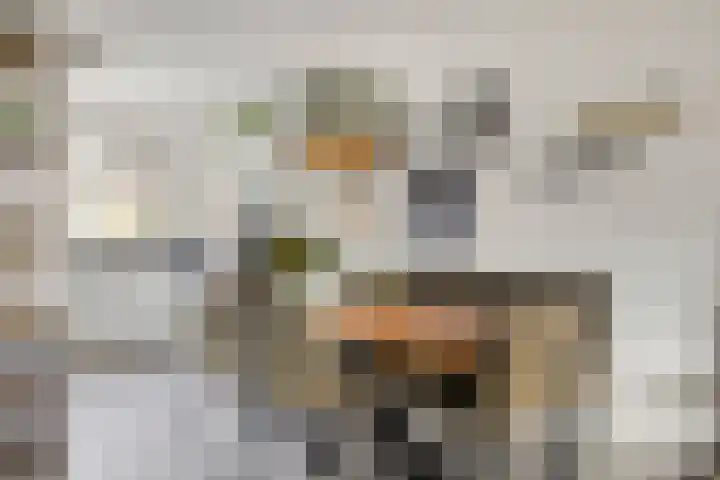 Walvisbaai 5 Capelle aan den IJssel thumbnail 15
