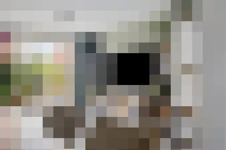 Walvisbaai 5 Capelle aan den IJssel thumbnail 20