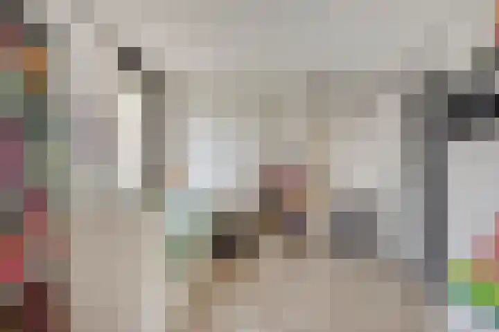 Walvisbaai 5 Capelle aan den IJssel thumbnail 23