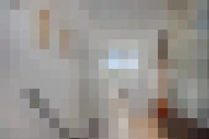 Walvisbaai 5 Capelle aan den IJssel thumbnail 30