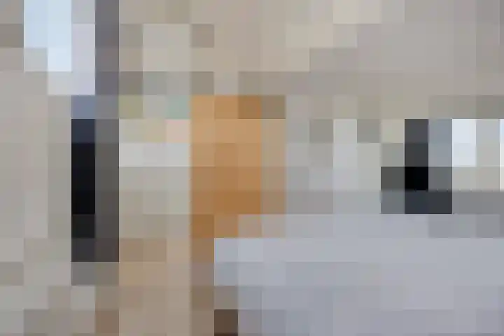 Walvisbaai 5 Capelle aan den IJssel thumbnail 32