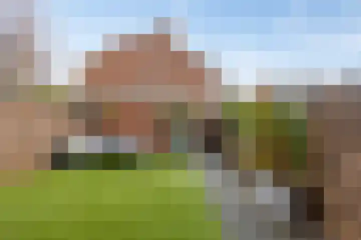 Walvisbaai 5 Capelle aan den IJssel thumbnail 36