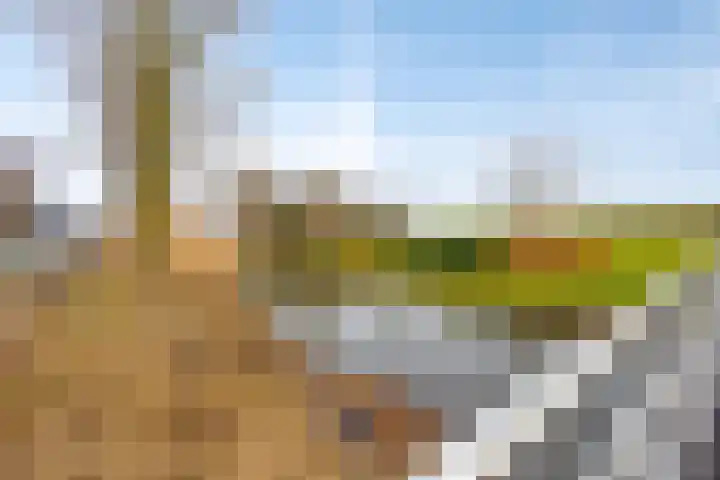 Walvisbaai 5 Capelle aan den IJssel thumbnail 38
