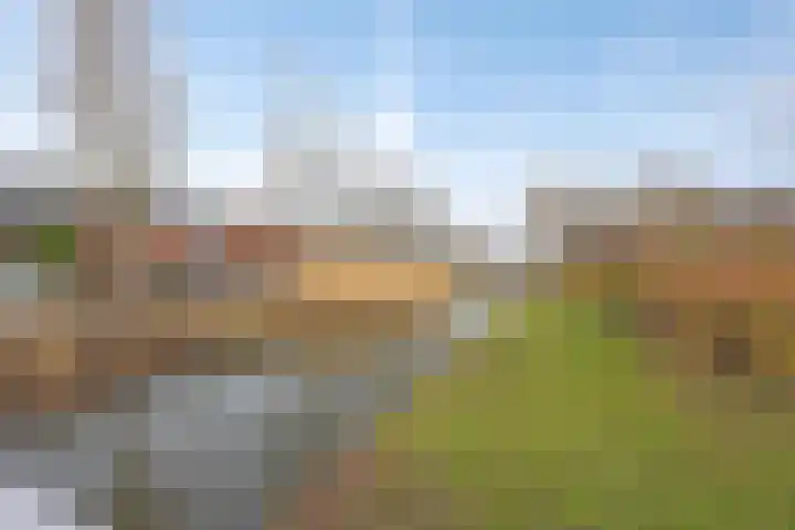 Walvisbaai 5 Capelle aan den IJssel thumbnail 39