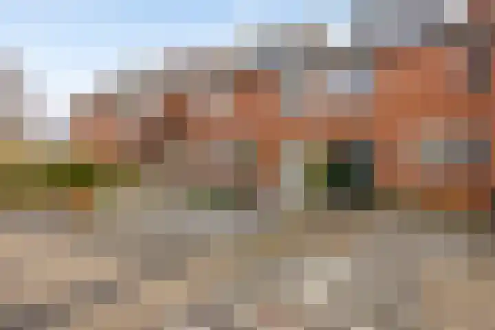Walvisbaai 5 Capelle aan den IJssel thumbnail 5