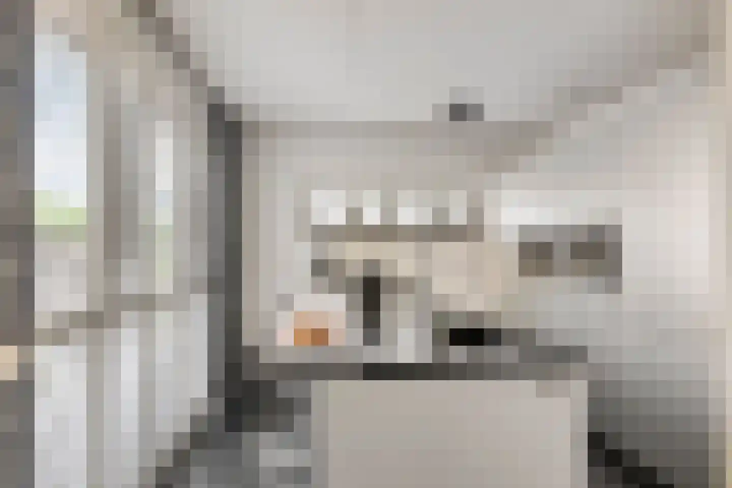 Walvisbaai 8 Purmerend thumbnail 12