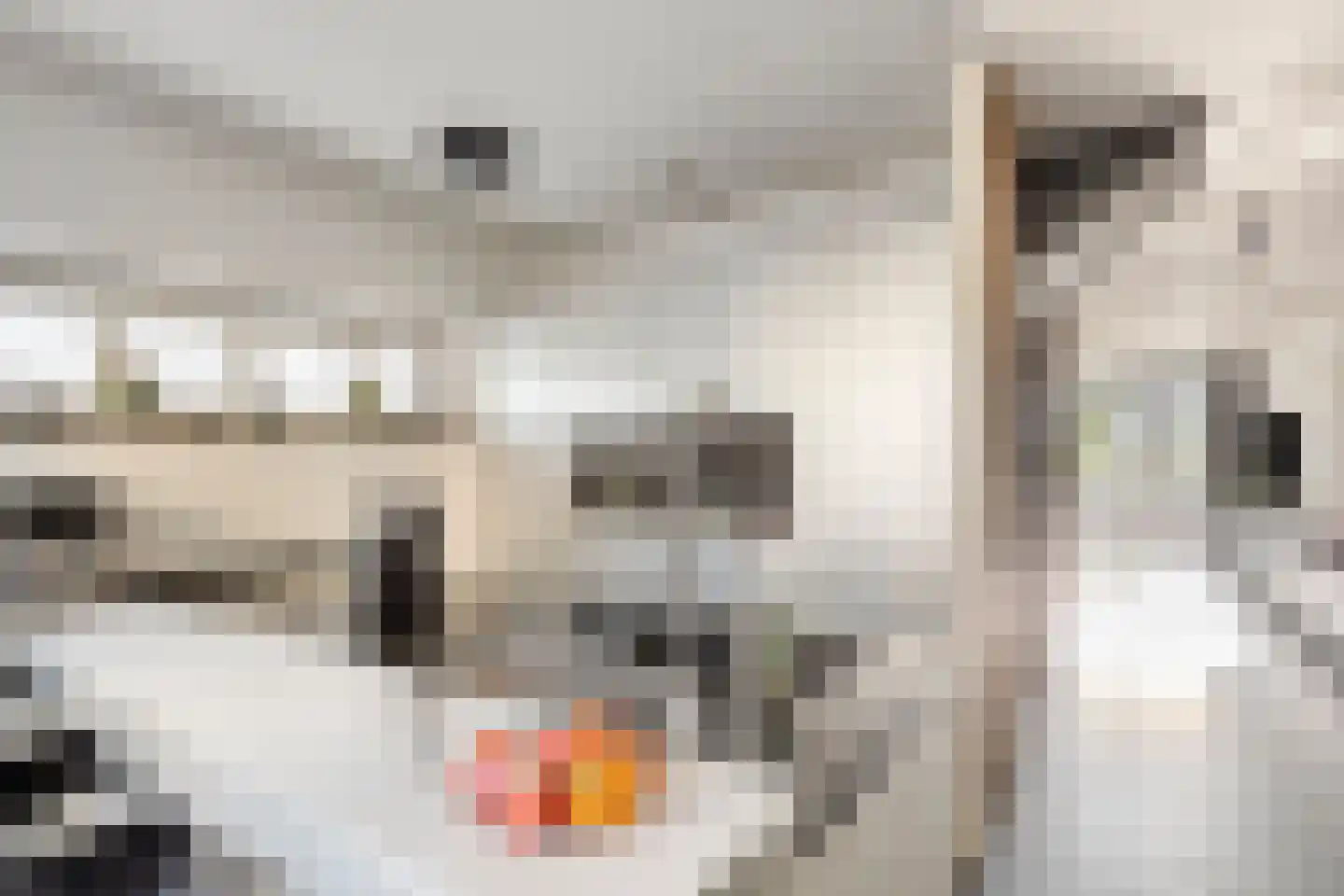 Walvisbaai 8 Purmerend thumbnail 13