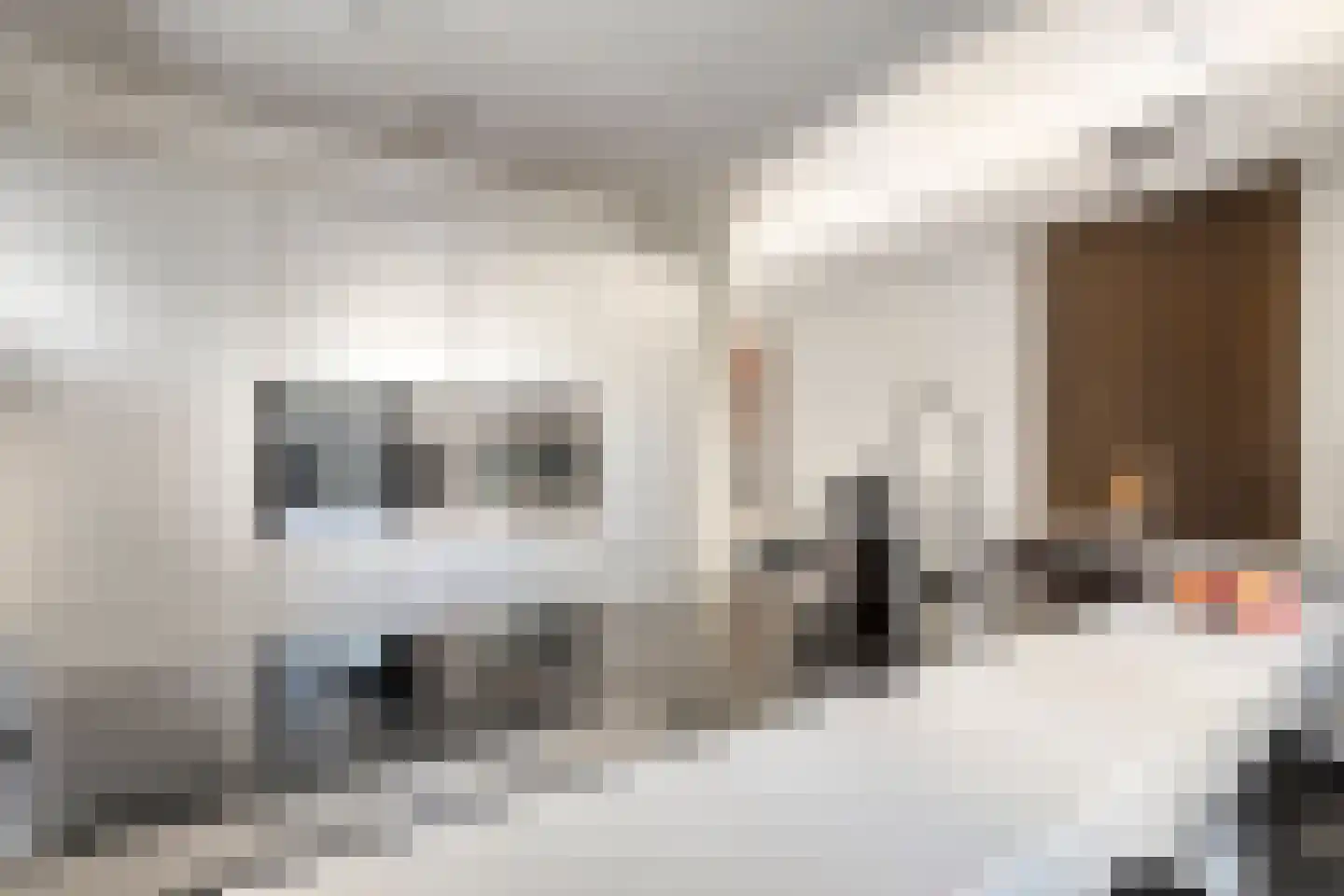 Walvisbaai 8 Purmerend thumbnail 15