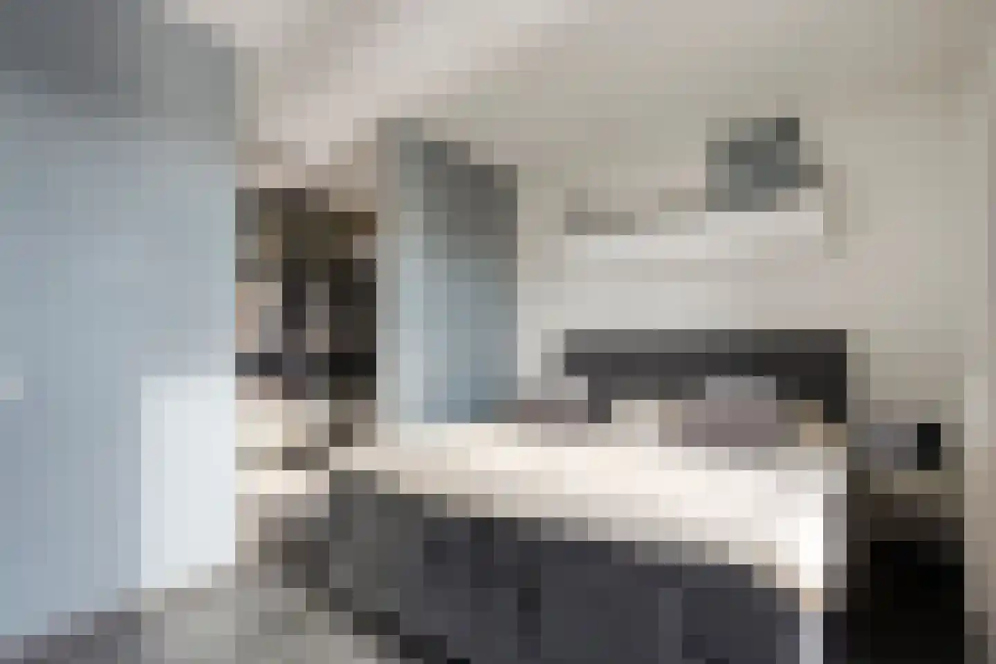 Walvisbaai 8 Purmerend thumbnail 20