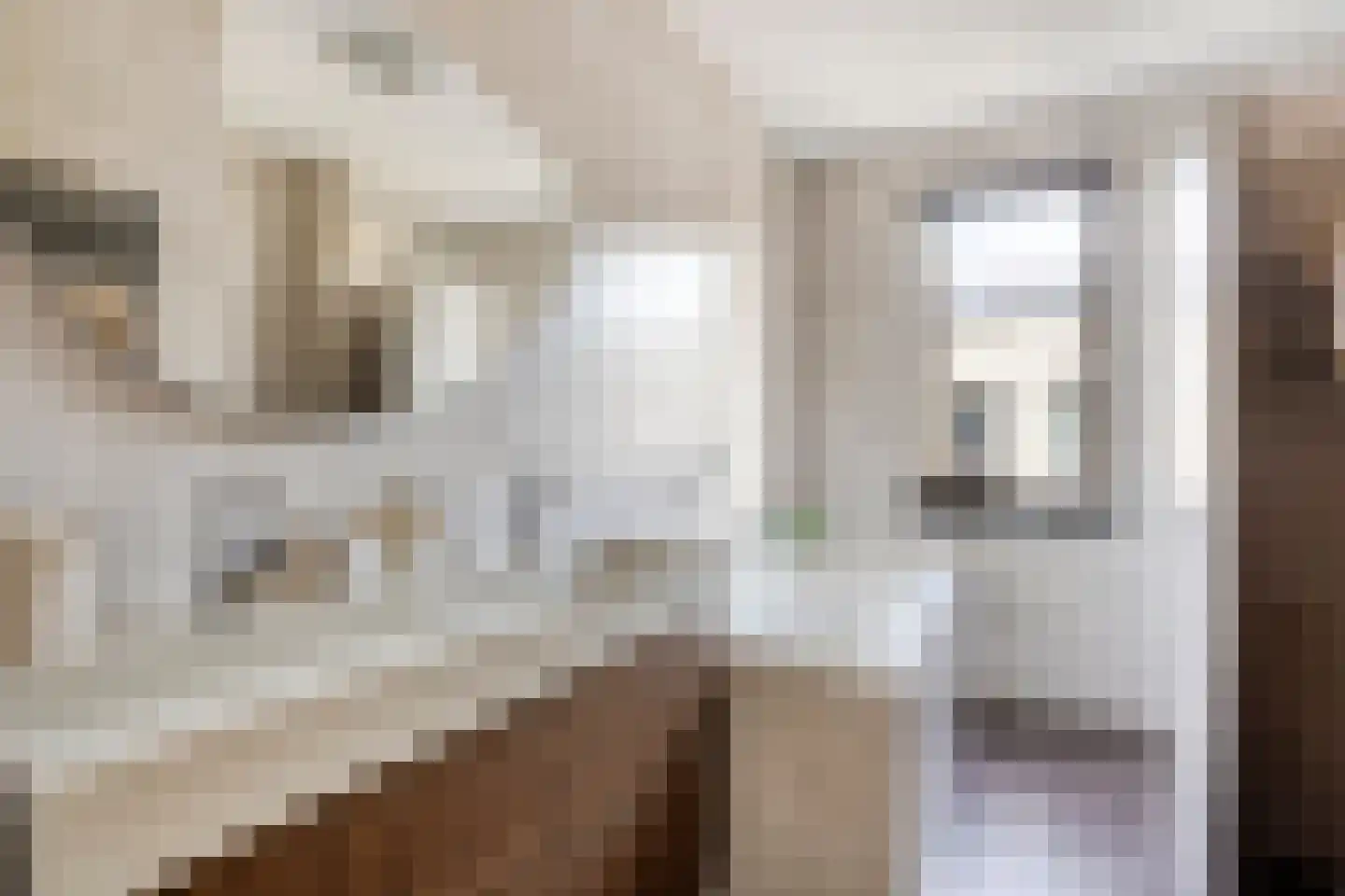 Walvisbaai 8 Purmerend thumbnail 23