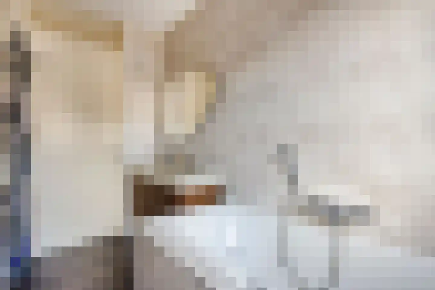 Walvisbaai 8 Purmerend thumbnail 26