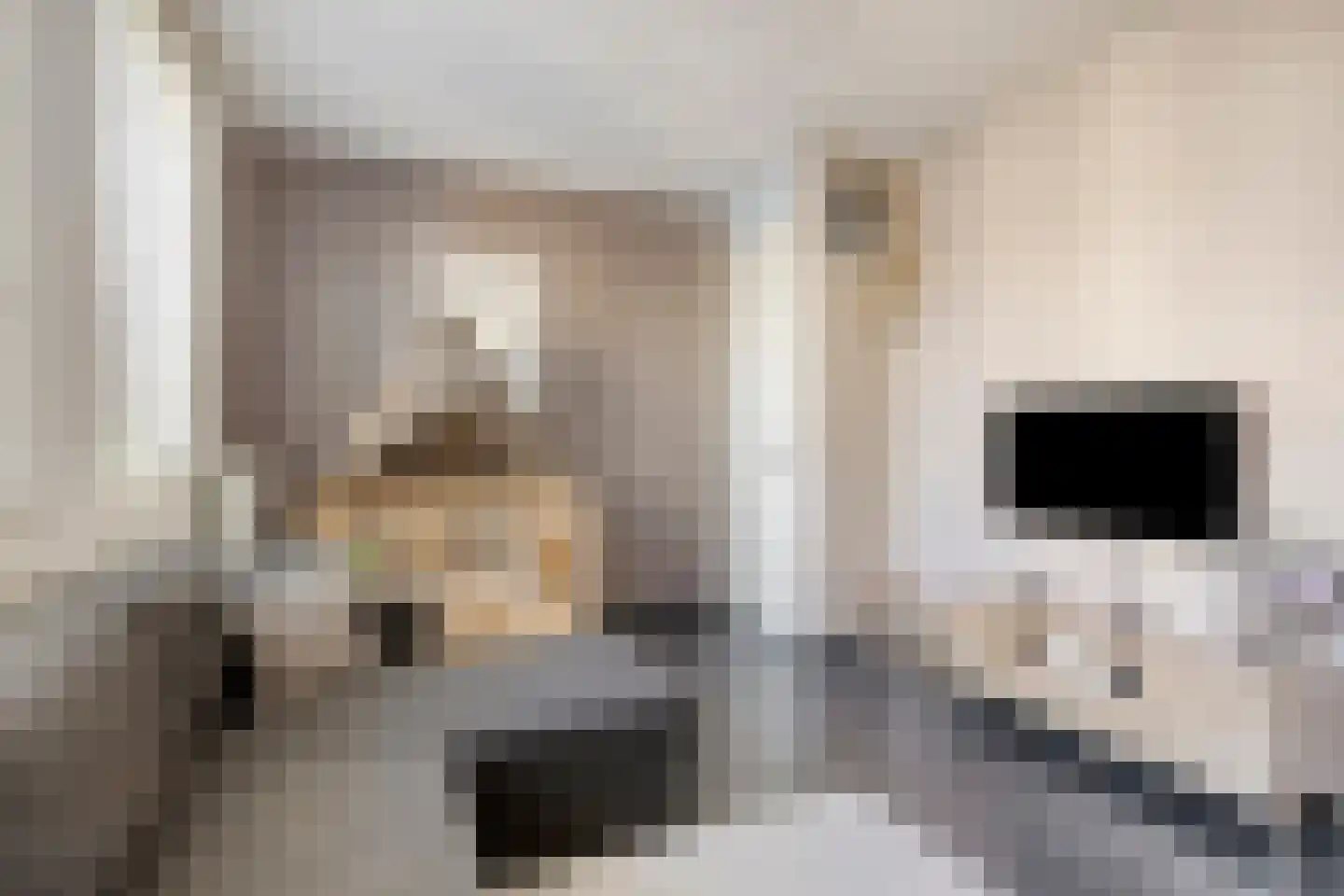 Walvisbaai 8 Purmerend thumbnail 28