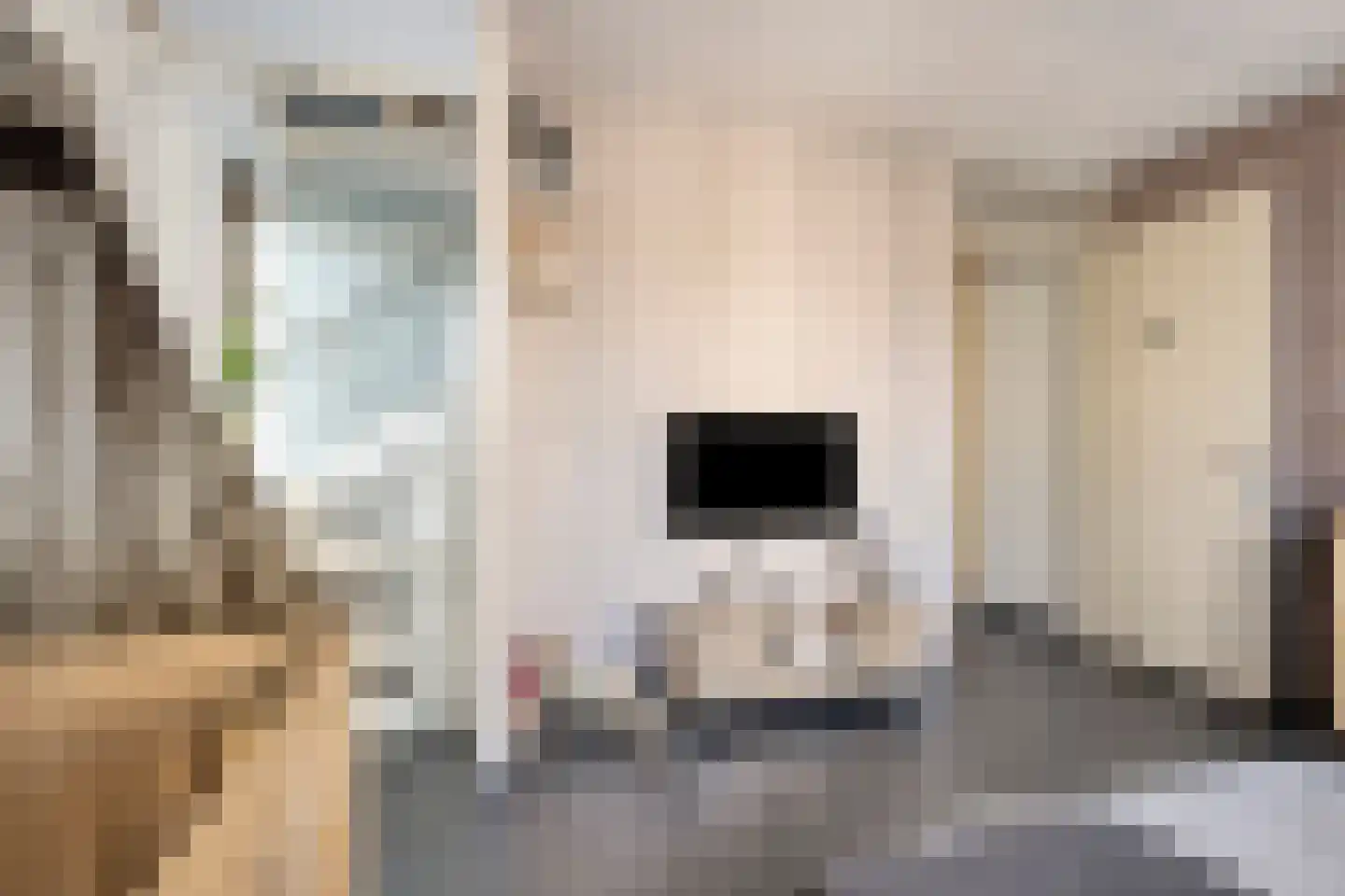 Walvisbaai 8 Purmerend thumbnail 29