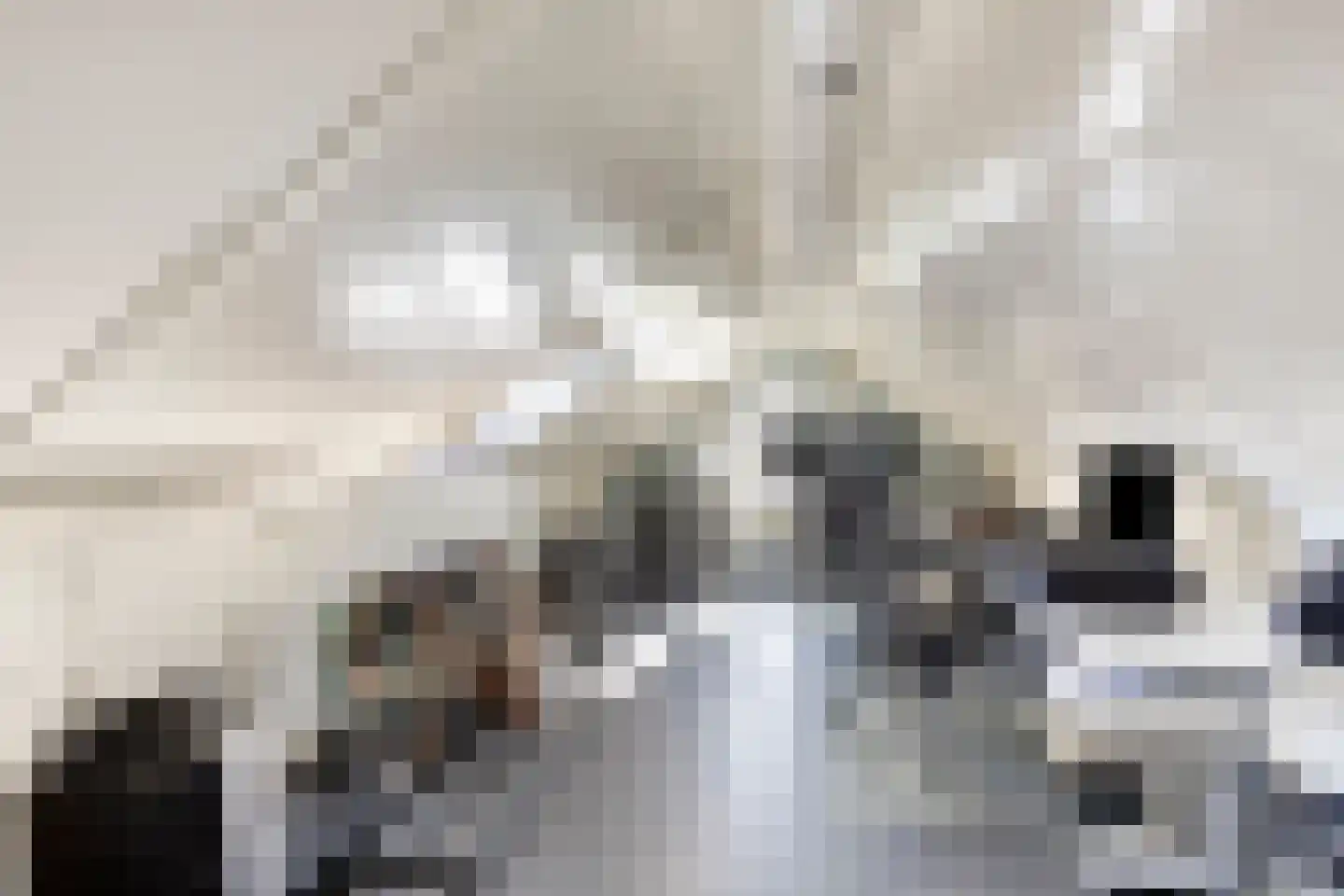 Walvisbaai 8 Purmerend thumbnail 31