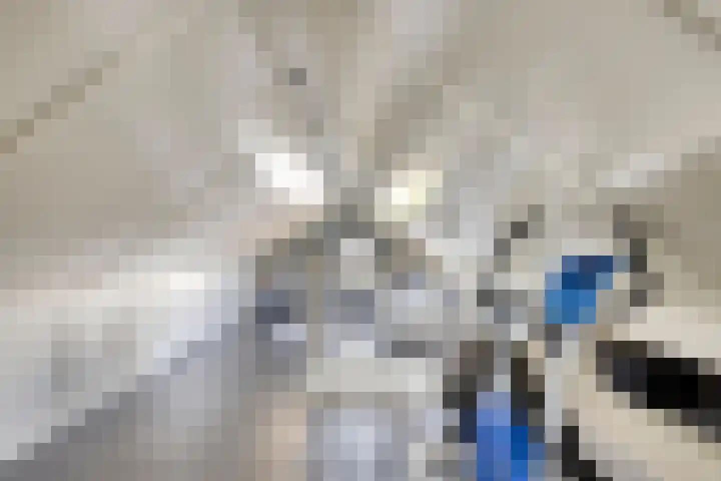 Walvisbaai 8 Purmerend thumbnail 32
