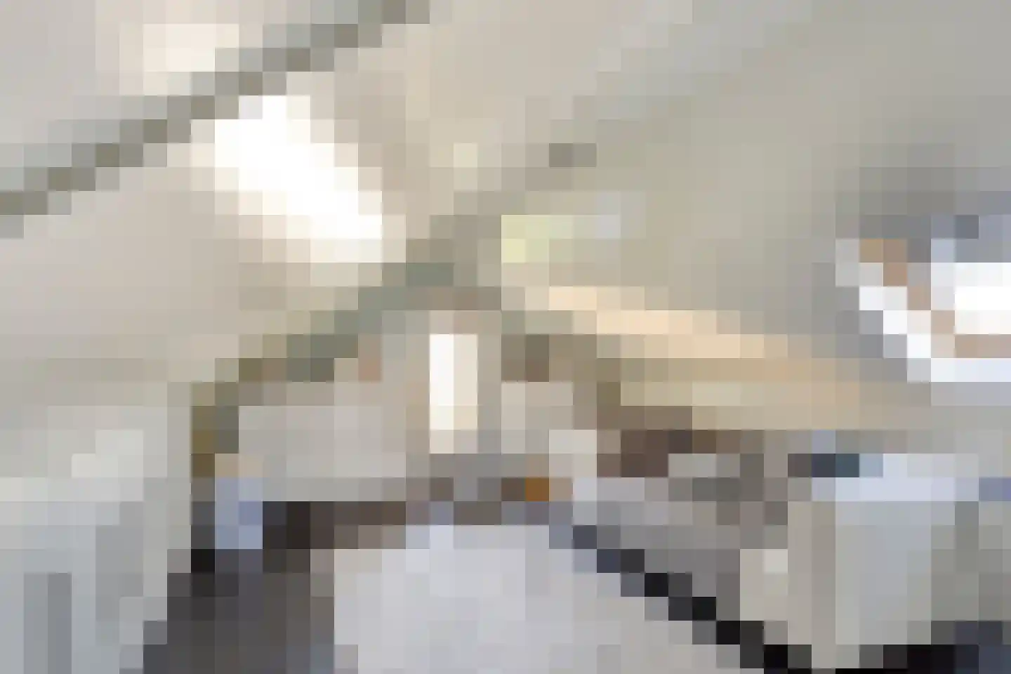 Walvisbaai 8 Purmerend thumbnail 33