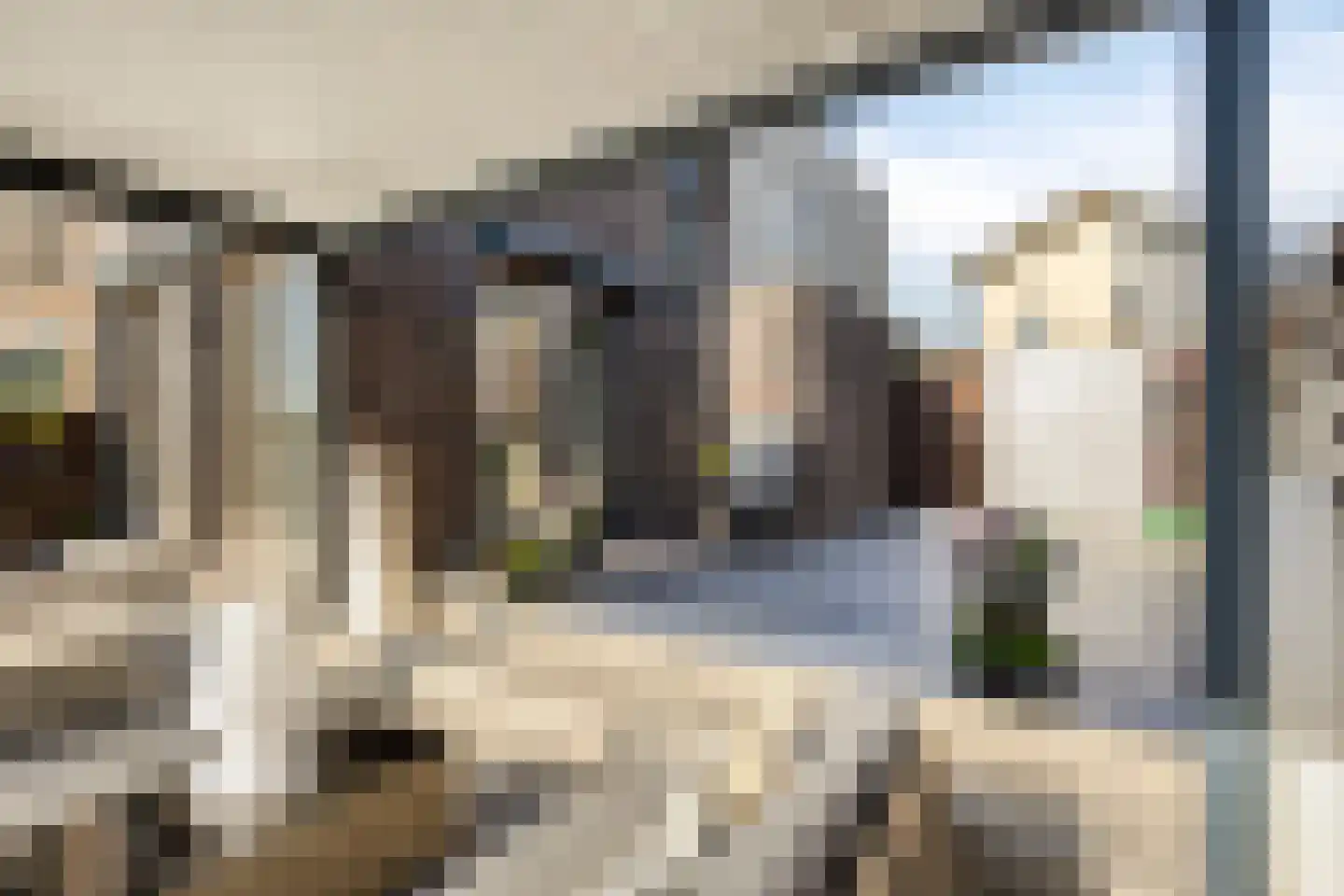 Walvisbaai 8 Purmerend thumbnail 35