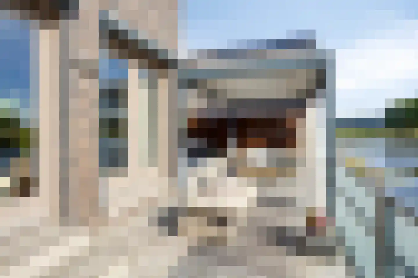 Walvisbaai 8 Purmerend thumbnail 36