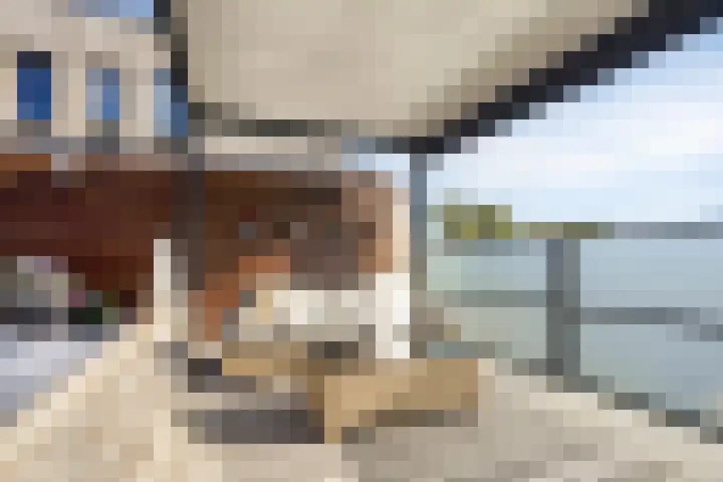 Walvisbaai 8 Purmerend thumbnail 38