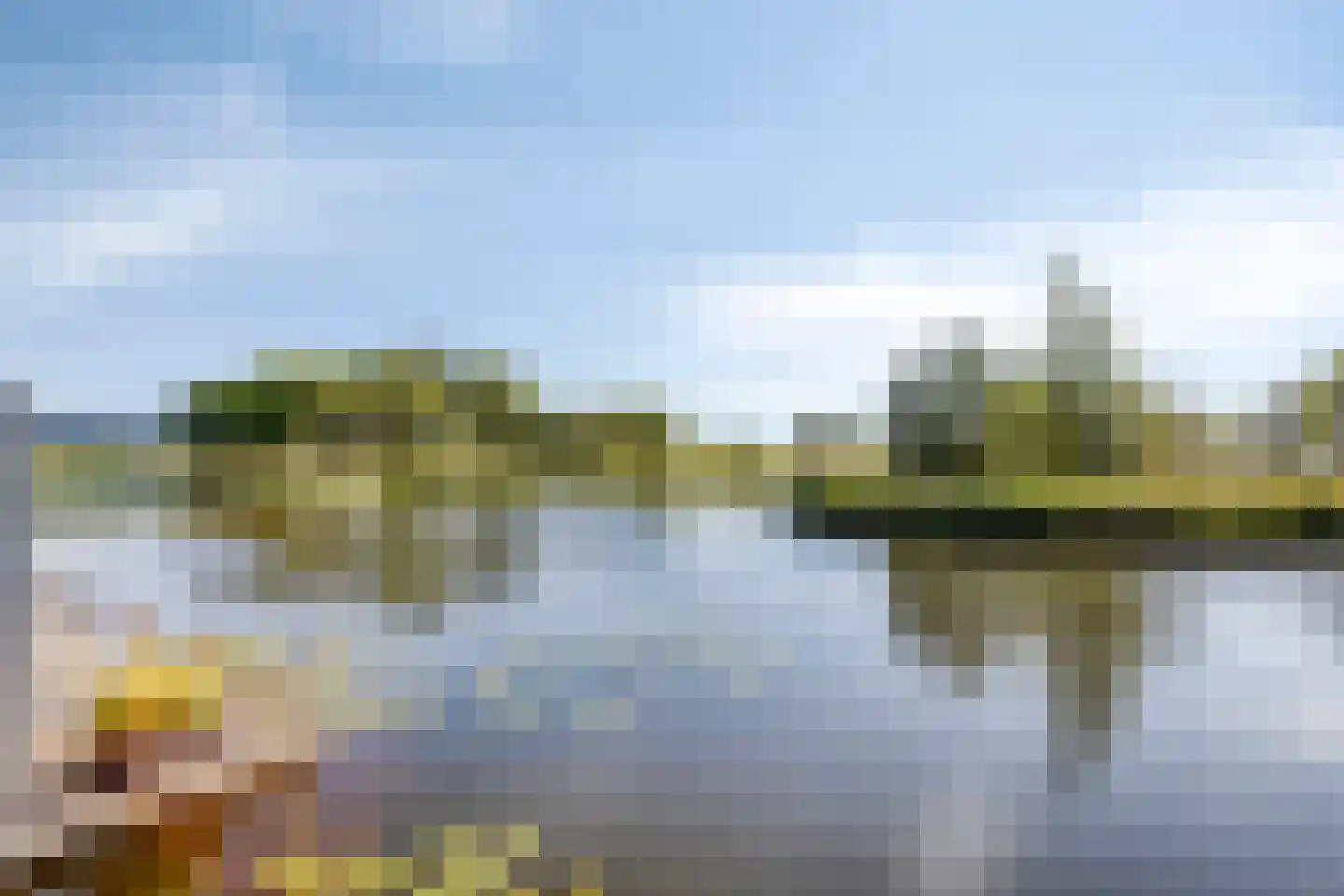 Walvisbaai 8 Purmerend thumbnail 41