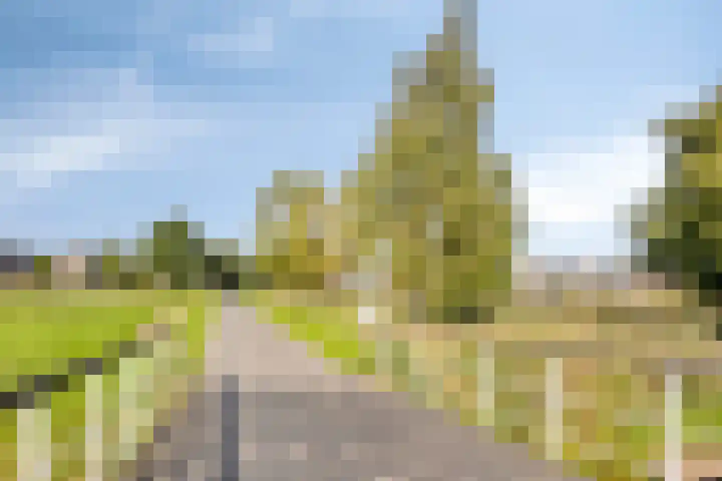 Walvisbaai 8 Purmerend thumbnail 47