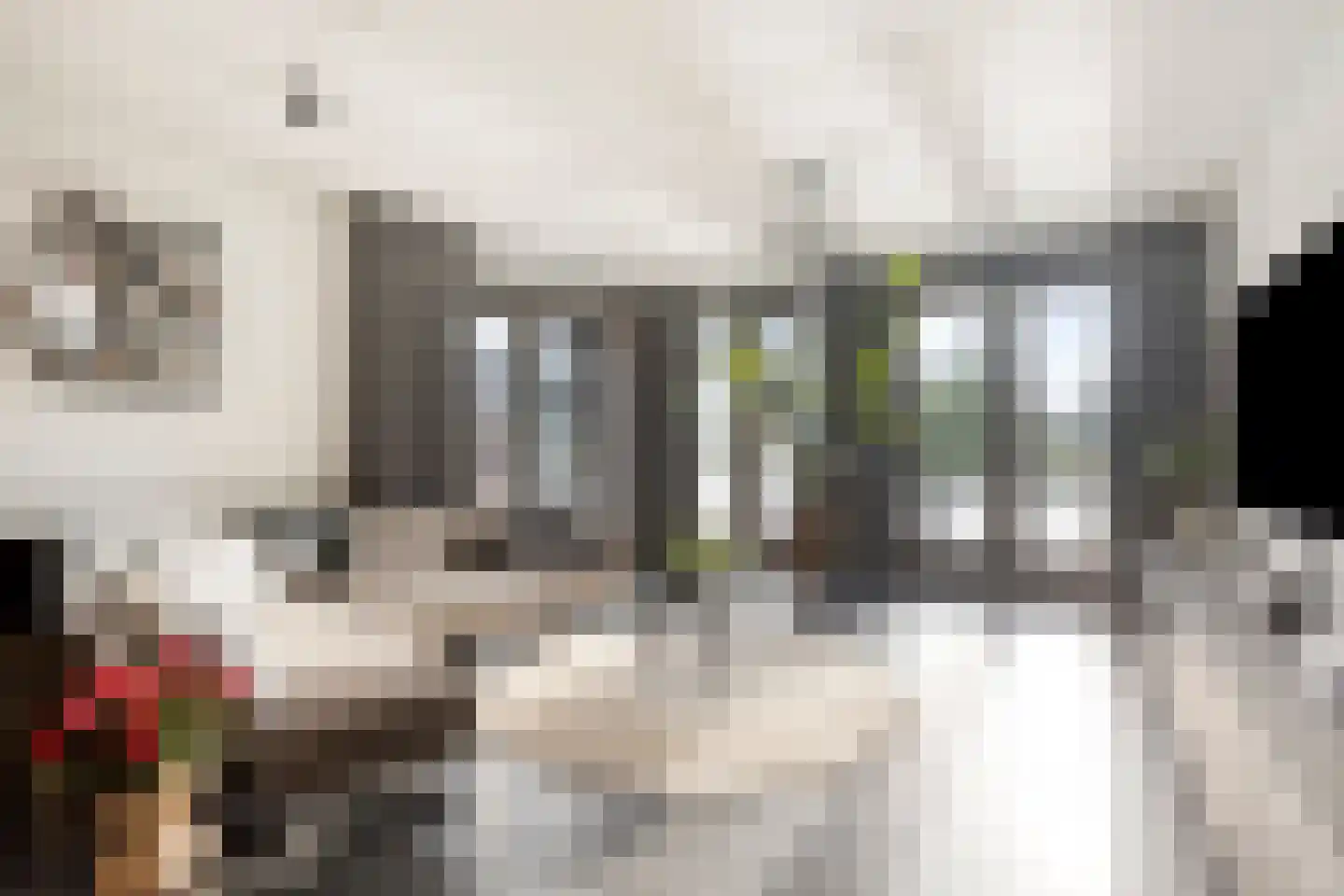 Walvisbaai 8 Purmerend thumbnail 5