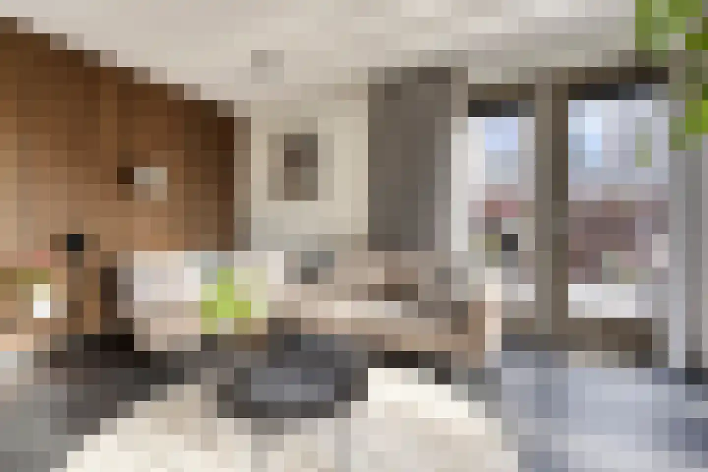 Walvisbaai 8 Purmerend thumbnail 8