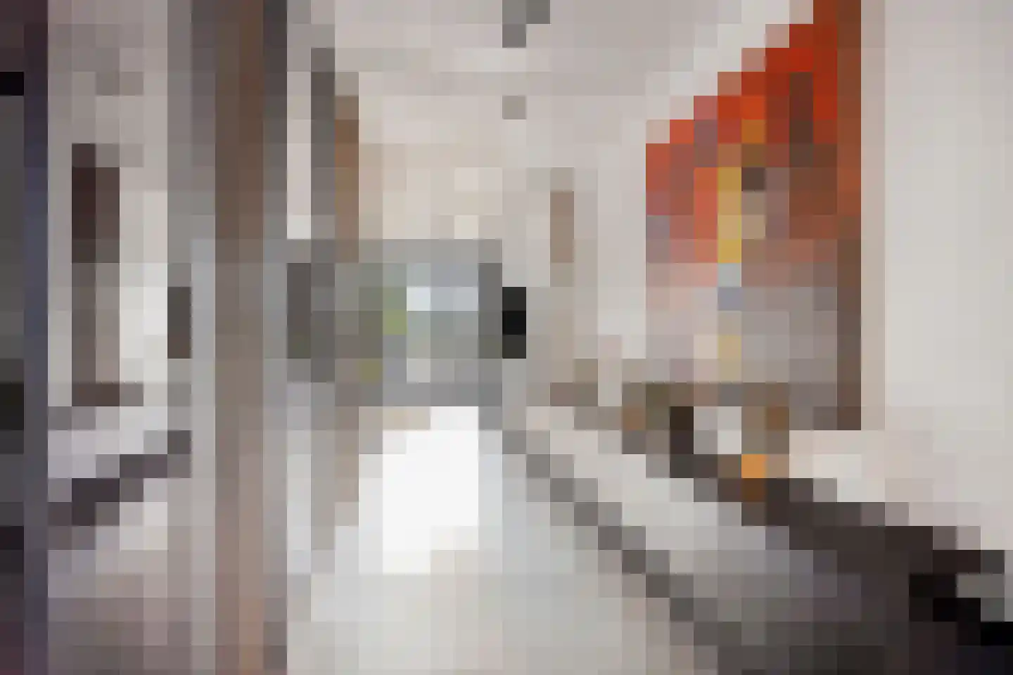 Walvisbaai 8 Purmerend thumbnail 9