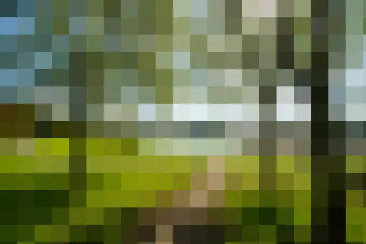 Walvisplein 94 B Almere thumbnail 27