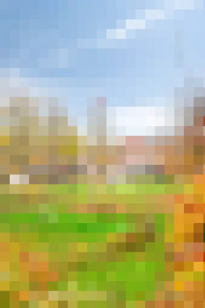 Walvisplein 94 K Almere thumbnail 37