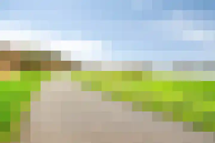 Walvisplein 94 K Almere thumbnail 40